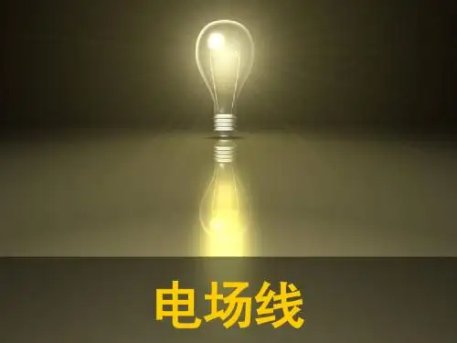 第3节电场线