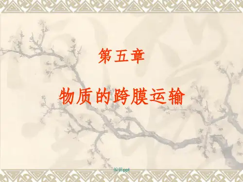 细胞生物学 第五章 物质的跨膜运输