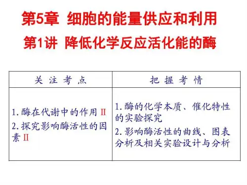 课件降低化学反应活化能的酶