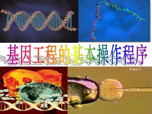 1.2.2.1基因工程操作步骤