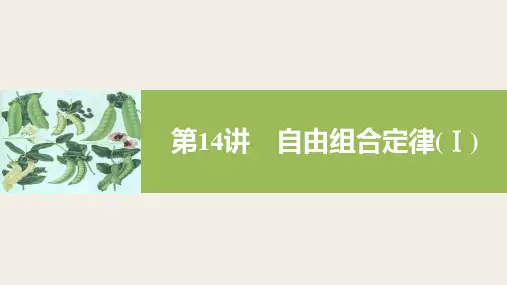 自由组合定律选考一轮复习