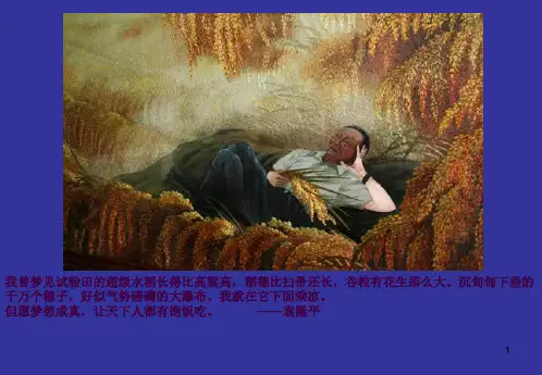 杂交育种与诱变育种ppt课件