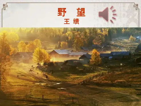 【部编语文】2018-2019学年度人教部编新版初中语文八年级上册:《野望》2(精品优质课PPT课件)