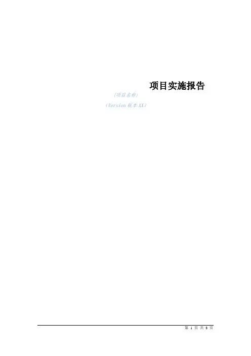 项目实施报告_模板