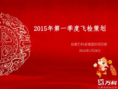 2015年第一季度飞检策划讲解