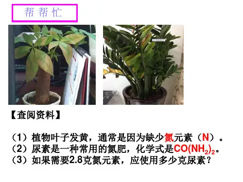 优秀课件九年级化学4.2物质组成的定量表示 (共31张PPT)