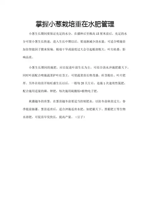 掌握小葱栽培重在水肥管理