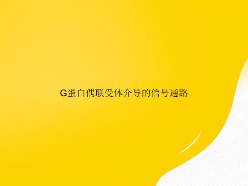 【优选文档】G蛋白偶联受体介导的信号通路PPT