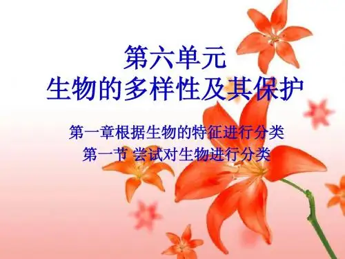 尝试对生物进行分类