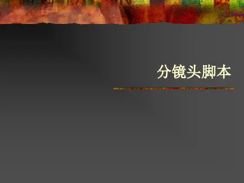 分镜头脚本