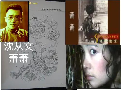 25萧萧