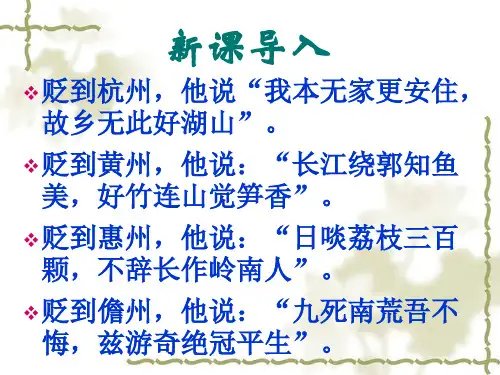 部编九年级语文下册课外古诗词《定风波》