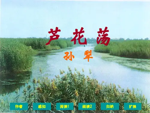 人教版八年级语文上册：第2课《芦花荡》ppt课件