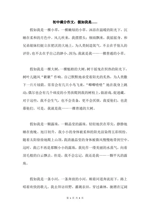 初中满分作文：假如我是......