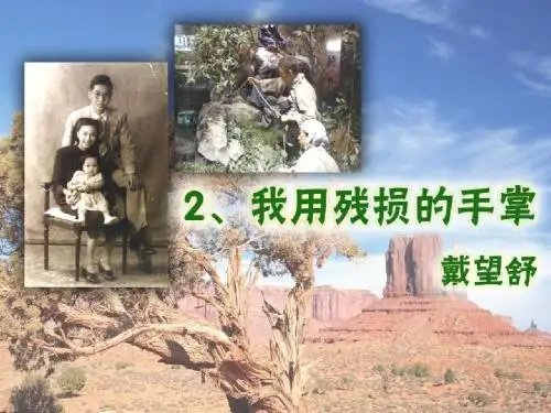 我用残损的手掌PPT