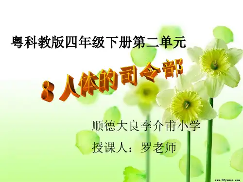 人体的司令部