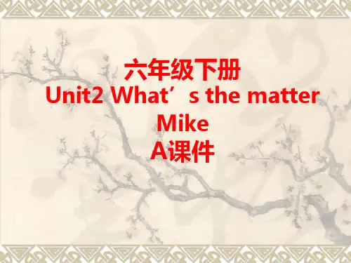 六年级下册Unit2WhatsthematterMikeA课件