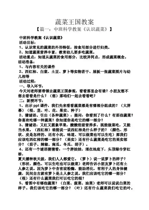 蔬菜王国教案