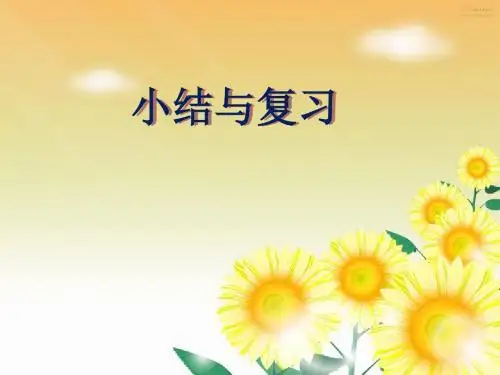 《整式的乘除》复习精品课件