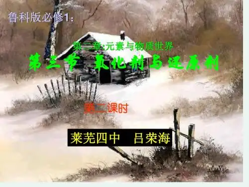 鲁科版必修1：第二章第三节氧化剂与还原剂课件(第二 课时)