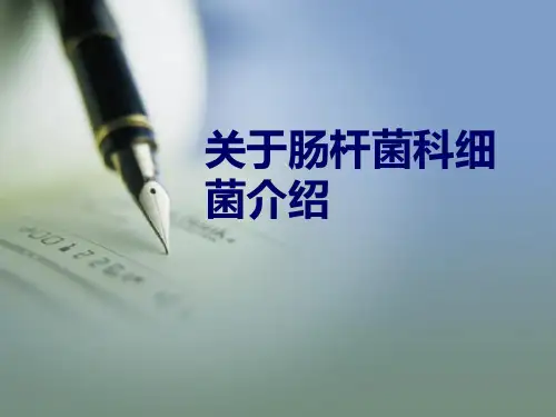 关于肠杆菌科细菌介绍课件