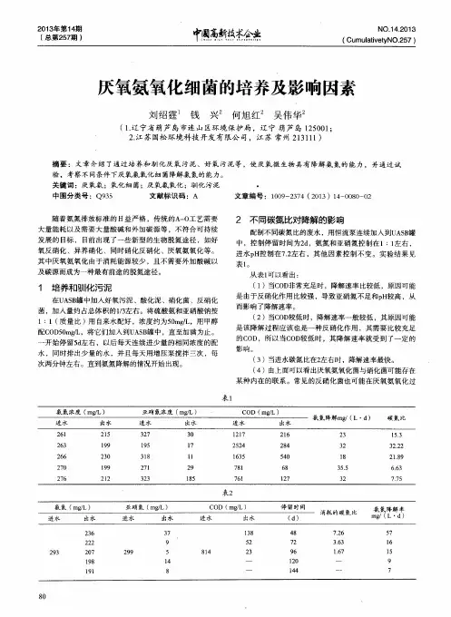 厌氧氨氧化细菌的培养及影响因素