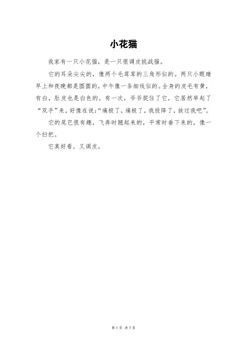 小花猫_一年级作文