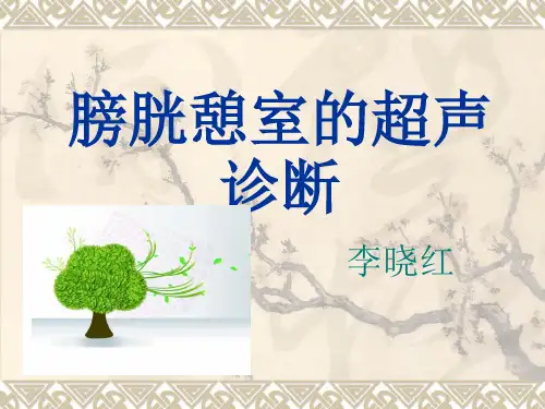 膀胱憩室超声诊断