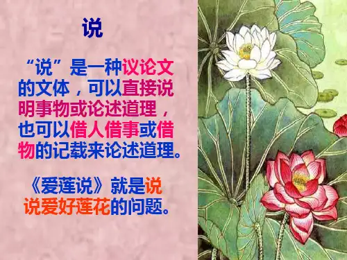 爱莲说中考复习PPT课件