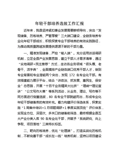 年轻干部培养选拔工作汇报