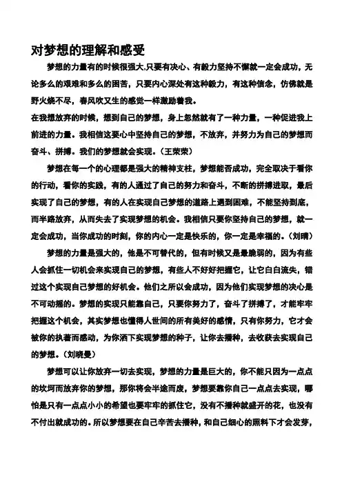 对梦想的理解和感受