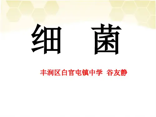 第一节细菌