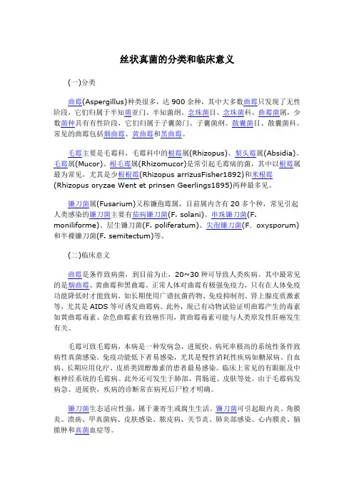 丝状真菌的分类和临床意义