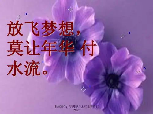 主题班会：梦想奋斗之莫让青春付水流课件