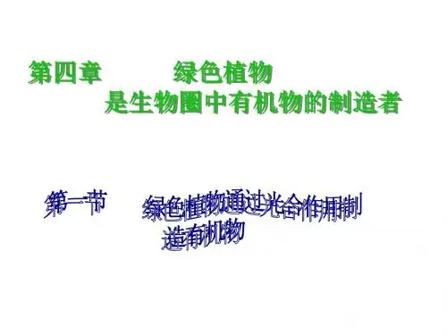 生物：3.4.1 绿色植物通过光合作用制造有机物 课件(人教版七年级上)