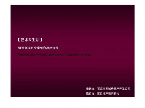 石家庄蟠龙湖项目全案整合思路提报