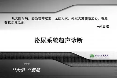 泌尿系统超声诊断PPT精品课程讲义