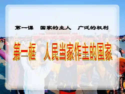 2017人民当家作主的国家PPt