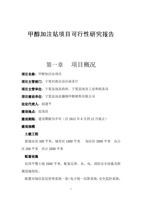 甲醇加注站项目可行性研究报告
