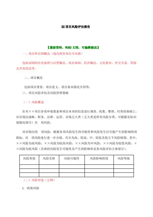 项目风险评估报告 2