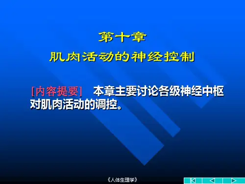 【基础医学】第十章 肌肉活动神经控制