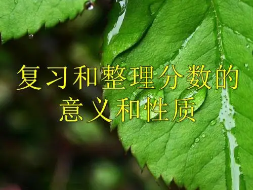 复习和整理分数的意义和性质