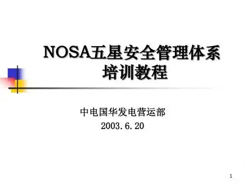NOSA五星安全管理体系培训教程