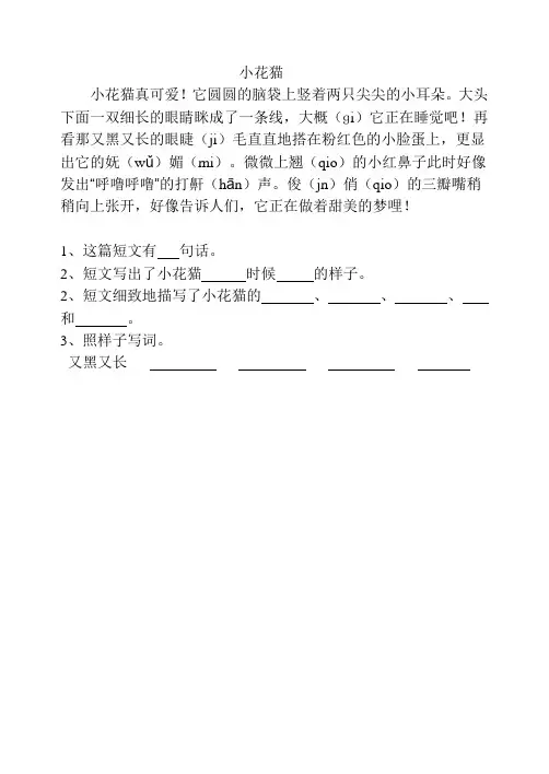 小花猫
