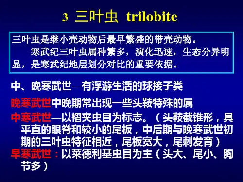 早古生代地史三叶虫晚寒武世褶颊虫亚目代表