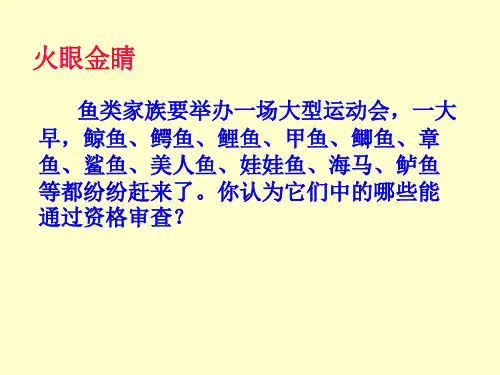 脊椎动物的复习 - 精讲优质课