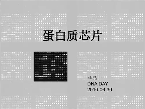 蛋白质芯片研究进展
