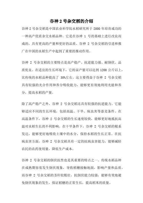 谷神2号杂交稻的介绍