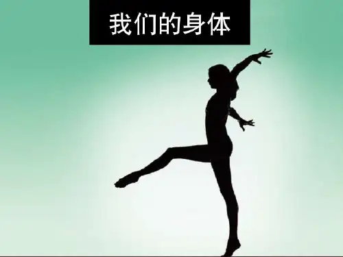 四年级科学上册身体的结构教科版 (21)