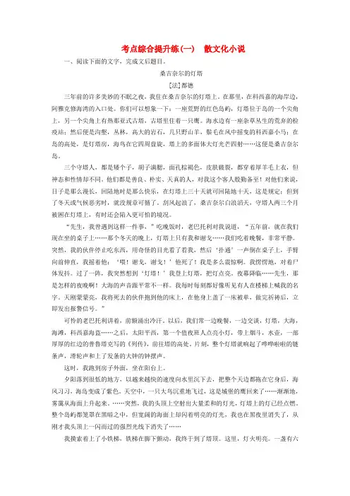 (江苏专用)高考语文大一轮复习 第一章 第二节 小说阅读 考点综合提升练(一)散文化小说